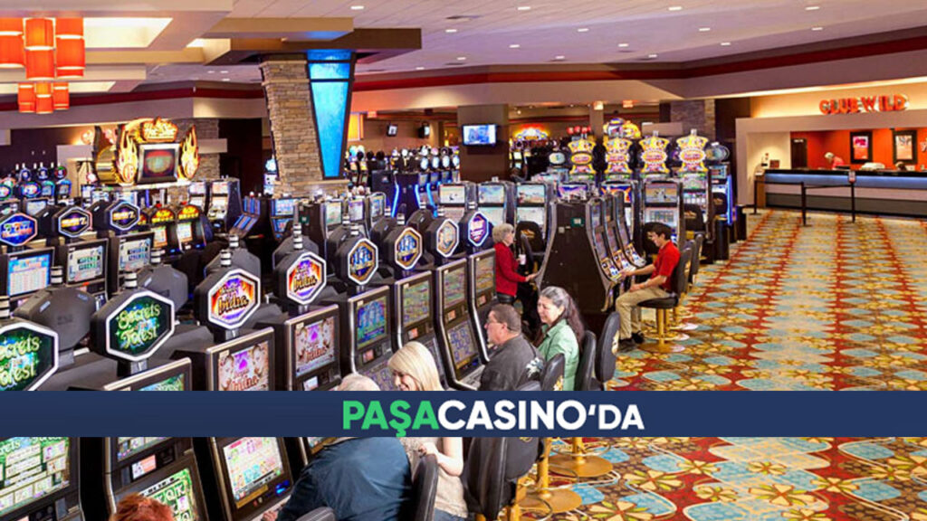 paşacasino giriş event ve etkinlik